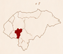 COPROCAEL